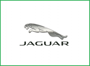 IMAGEM JAGUAR